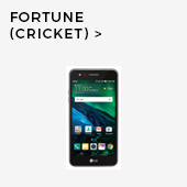 Fortune (Cricket)